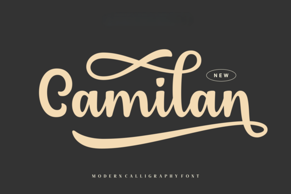 Camilan Font Review: Elevating Campaign Visuals