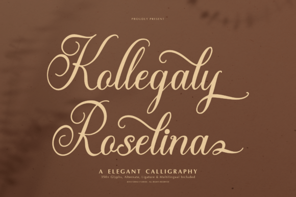 Kollegaly Rosalina Font: Elevating Campaign Visuals