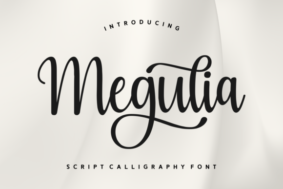 Megulia Font: Elevating Digital Brand Identity