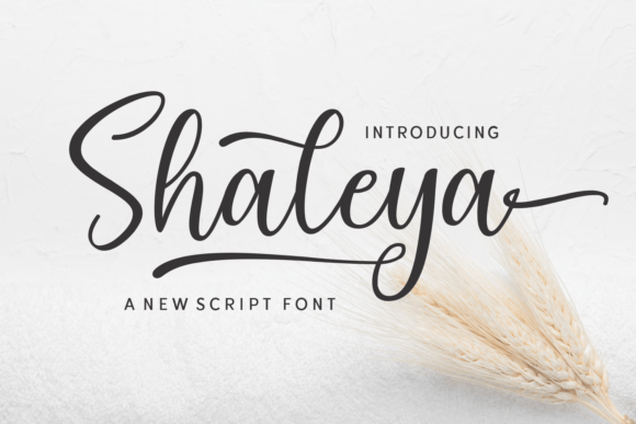 Shaleya Font: Elevate Your Boutique Brand Identity