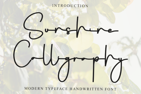 Sunshine Calligraphy Font: A Campaign Design Review
